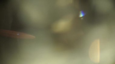 Ilık renklerle ve renklerle odaklanmış parlak bokeh arkaplanı. Tasarımlarınıza veya video projelerinize kamera havası eklemek için ideal.