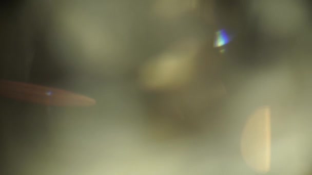 Яскравий Дефокусований Фон Боке Теплими Кольорами Відтінками Ідеально Підходить Додавання — стокове відео