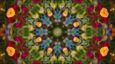 VJ, TV ya da web projesi için fraktallar kaleydoskop, mandala, parlak animasyon. Yüksek kaliteli görüntüler. 