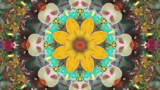 Spirituális Kaleidoszkóp Mandala Mesmerizing Footage Jóga Vagy Meditáció Prores Felvételek — Stock videók