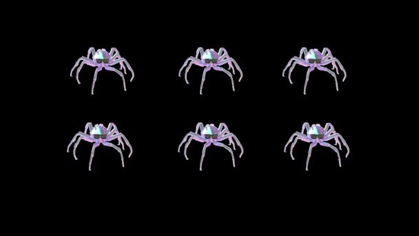 Группа Танцующих Смешных Неоновых Пауков Солнцезащитных Очках Изолированный Фон Психоделическая — стоковое видео