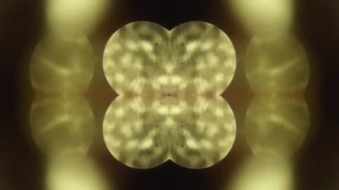 Soyut arkaplan için odaklanmış dinamik ışık sızıntıları: Bokeh efektini ekle ve videona yükle. Sanatsal projeler için mükemmel. 