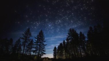 Büyüleyici gece manzarası: Orman ve yıldızlı gökyüzü, animasyon sahnesi..