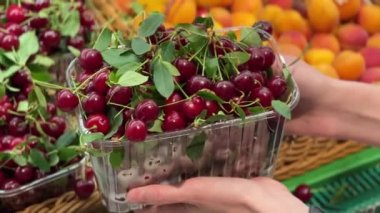 Süpermarketteki bir kutuda taze kiraz organik böğürtlen tutan bir alıcı. Sağlıklı yaşam konsepti. 4k görüntü.
