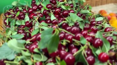 Süpermarketteki bir kutuda taze kirazlar organik meyveler. Sağlıklı yaşam konsepti. 4k görüntü.