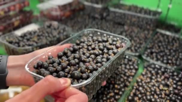 女性はスーパーマーケットのプラスチック容器に黒スグリの果実を保持しています 4K映像 — ストック動画