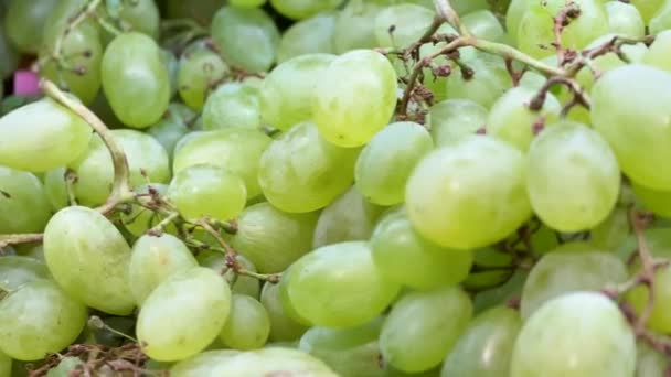 Close Video Green Grapes Grocery Store High Quality Footage — Stock Video