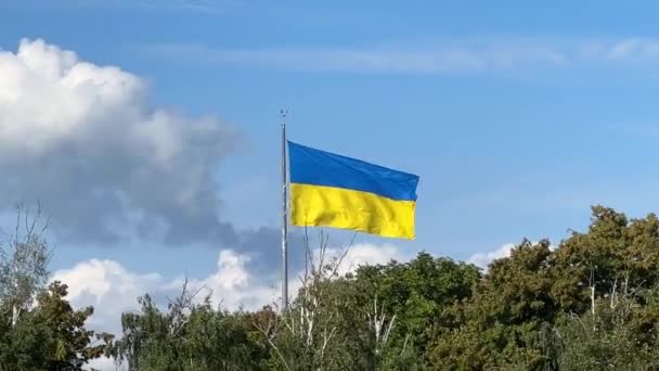Geelblauwe Oekraïense Vlag Wappert Wind Tegen Achtergrond Van Wolken Een — Stockvideo