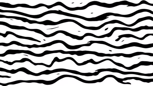 Soyut Tek Renkli Dalgalar Dinamik Siyah Beyaz Çizgiler Akışkan Dalgalı — Stok video