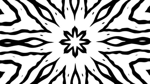 Design Radial Abstrato Preto Branco Com Uma Forma Estrela Central — Vídeo de Stock