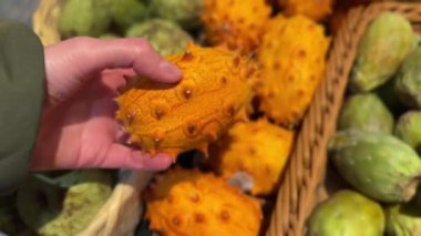 Meyve pazarında arka planda çeşitli karpuzlar olan sarı boynuzlu bir kavun kiwano tutuyorum. Yüksek kalite 4k görüntü.