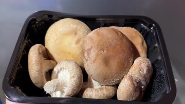 Shiitake Mushrooms Black Plastic Box Close Shot High Quality Footage — Stock Video