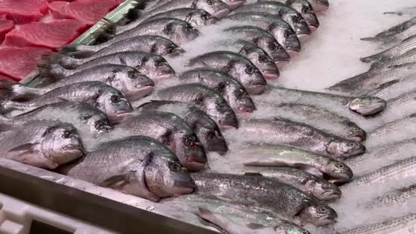 Čerstvé Ryby Pultu Obchodě Nebo Supermarketu Přírodní Produkty Mořských Plodů — Stock video