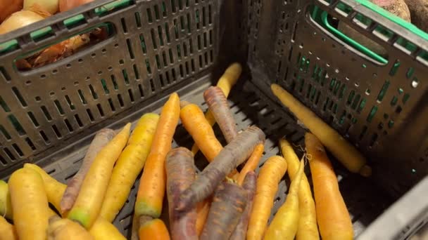 Крупним Планом Змішана Різнокольорова Морква Пластиковій Чорній Коробці Супермаркеті Високоякісні — стокове відео