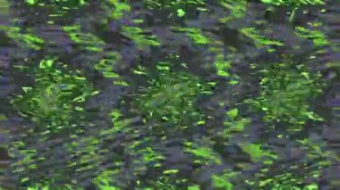 Canlı, yeşil, organik hücre benzeri, ayrıntılı bir çizimi var. Yüksek kaliteli FullHD görüntüler.