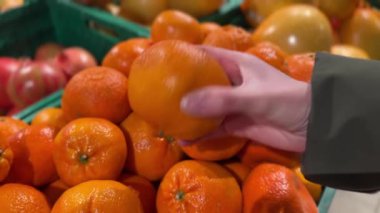 Sandıktan taze Nadorcott mandarini toplayan bir kadının eli. Yüksek kalite 4k görüntü.