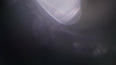 Gri ölçekli ışık sızıntısı olan soyut, yumuşak odak görüntüsü gizemli ve minimalist bir estetik yaratıyor. Yüksek kalite 4k görüntü.