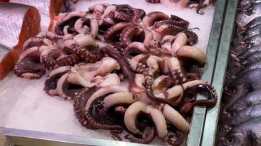 Taze ahtapot buzda sergileniyor, dokunaçları belirgin bir şekilde sıralanmış. Yüksek kalite 4k görüntü.