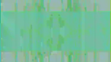 Yeşil ve mavi renklerde simetrik bozulma. Karmaşık dijital çarpıtmalar ayna etkisi yaratıyor. Yüksek kaliteli FullHD görüntüler.