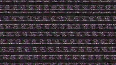 Dijital gürültülü siyah beyaz soyut doku. Yüksek kaliteli FullHD görüntüler.