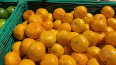 Markette satılmaya hazır taze organik portakallar, vitamin dolu taze narenciye meyveleri. Yüksek kalite 4k görüntü.