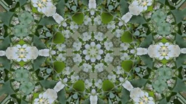 Yeşil renkli ve simetrik şekilli kaleydoskop desenli soyut bir arka plan. Fütürist dijital sanat ve psikedelik görseller için mükemmel. Yüksek kaliteli FullHD görüntüler.