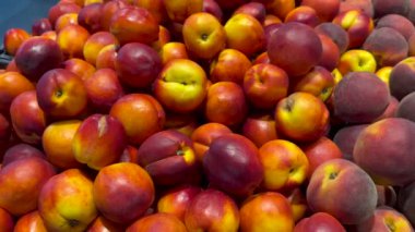 Organik bir dükkanda taze şeftali ve nektarin sepeti. Yüksek kalite 4k video.