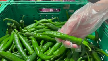 Çiftçi pazarında yeşil plastik sepetten taze yeşil biber topluyorum. Yüksek kalite 4k video.