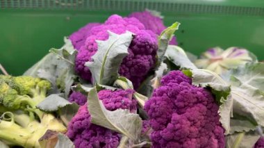 Yerel bir markette yeşil plastik sepette taze mor karnabahar lavantası. Yüksek kalite 4k video.