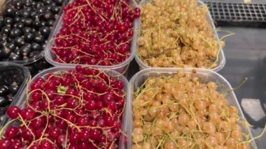 Bir markette siyah, kırmızı ve beyaz da dahil olmak üzere farklı türde kuş üzümü içeren konteynırlar. Yüksek kalite 4k görüntü.