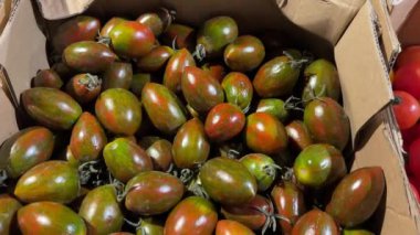 Uzun, yeşilimsi, parlak yüzeyli domateslerle dolu bir karton kutu. Yüksek kalite 4k görüntü.