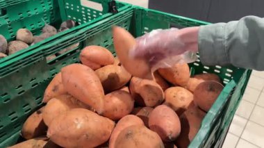 Süpermarkette patatesleri elle seçmek. Yüksek kalite 4k görüntü.