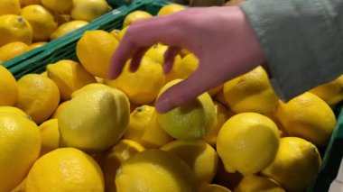 Kadınlar yaz aylarında kalabalık bir markette düzgün istiflenmiş sandıklardan taze limon seçiyor. Parlak sarı renk müşterileri çeker..