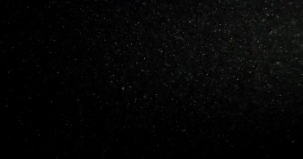 Выстрел Настоящих Пылевых Частиц Плавающих Воздухе Фон Частиц Пыли Снимок — стоковое видео