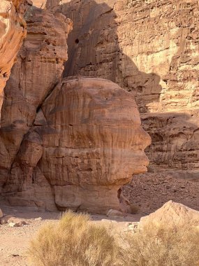 Wadi Rum koruma alanı, dünyanın en güzel çölü Jordan Fresco, ayrıntı, baş.
