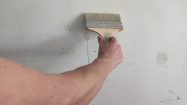Gruntowanie Ścian Pędzlem Człowiek Zagruntował Ścianę Przygotowanie Ściany Malowania — Wideo stockowe