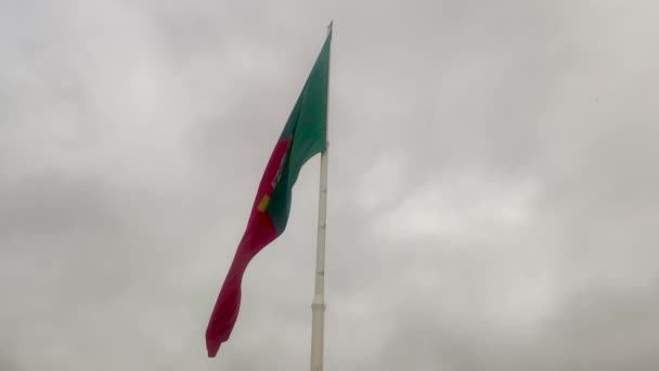 Huge Portuguese Flag Portuguese Flag Waving Wind — Vídeo de Stock