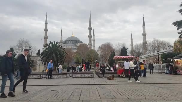Стамбул Турция Декабря 2022 Года Площадь Святой Софией Заднем Плане — стоковое видео