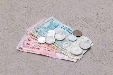 Moldovan leu 'nun parası ve banknotları. Moldova para birimi.