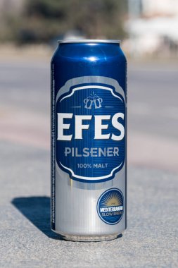 Chisinau, Moldova - 10 Mart 2023: Efes birası.