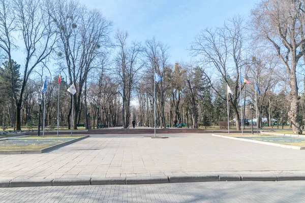 Chisinau Moldavia Marzo 2023 Banderas Parque Central Stefan Grande — Foto de Stock