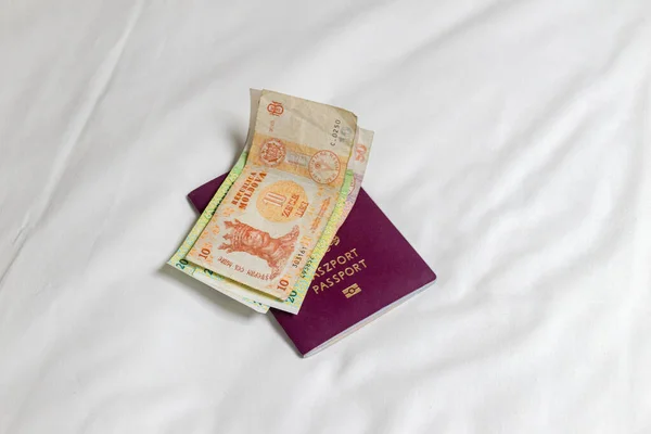 Паспорт Банкноты Молдавского Лея Mdl Лицензионные Стоковые Фото