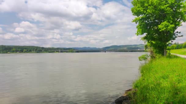 奥地利Krems和Der Donau的多瑙河 — 图库视频影像