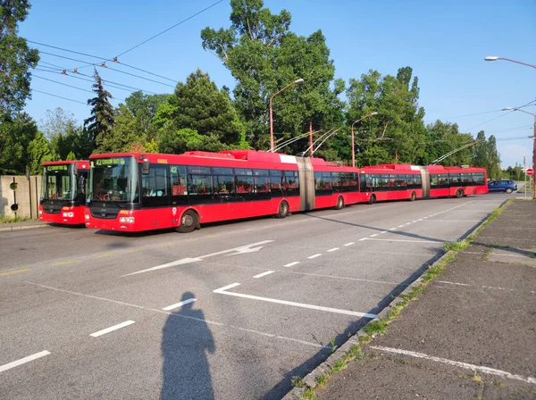 Bratislava Slowakei Mai 2023 Roter Stadtbus Bratislava Stockfoto