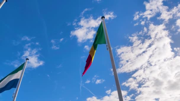 Cameroon Flag Waving Wind National Flag Cameroon — Stock Video