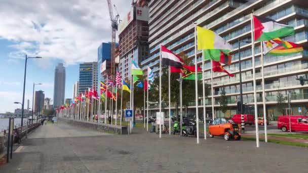 荷兰鹿特丹 2023年10月22日 悬挂世界国旗的小巷 — 图库视频影像