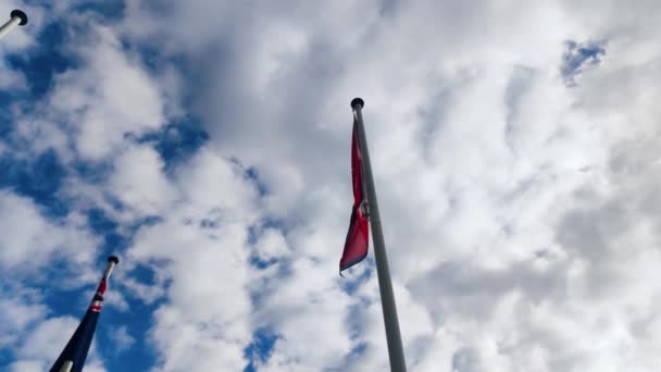 Nepal Flagge Weht Wind Nationalflagge Nepals — Stockvideo