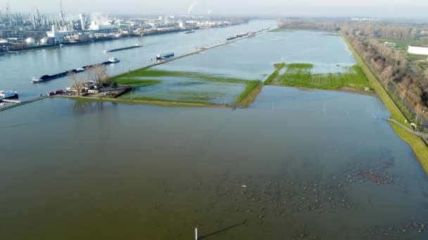 Mannheim Germany December 2023 Aerial View Rhine River Flood Germany — Stock Video