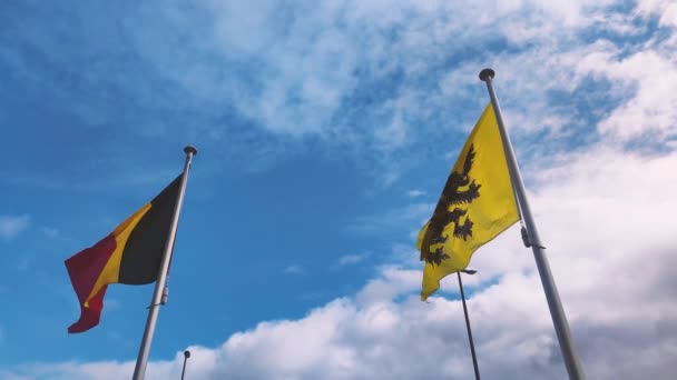 Флаг Фландрии Бельгии — стоковое видео
