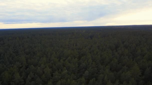 Letecký Pohled Západ Slunce Nad Jehličnatým Lesem — Stock video